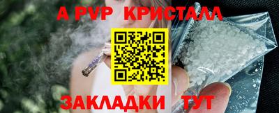 ECSTASY Камышлов