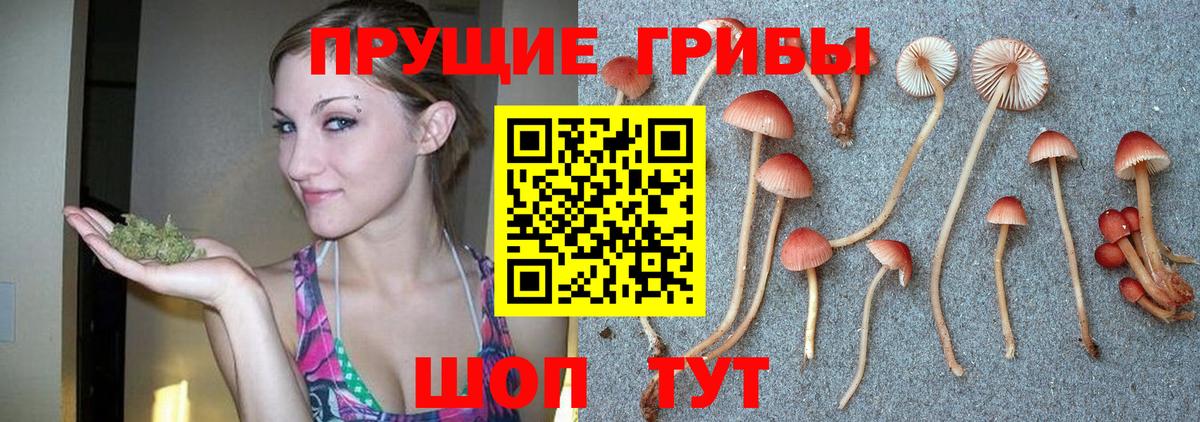 Псилоцибиновые грибы Magic Shrooms  Вход с VPN  как найти закладки  Нефтекамск 